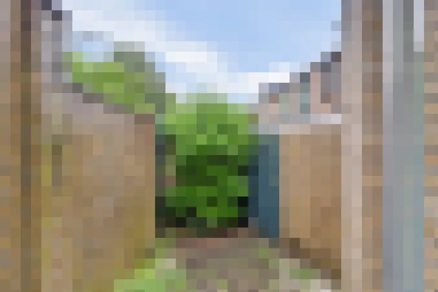 Kervelhof 6 Houten thumbnail 27