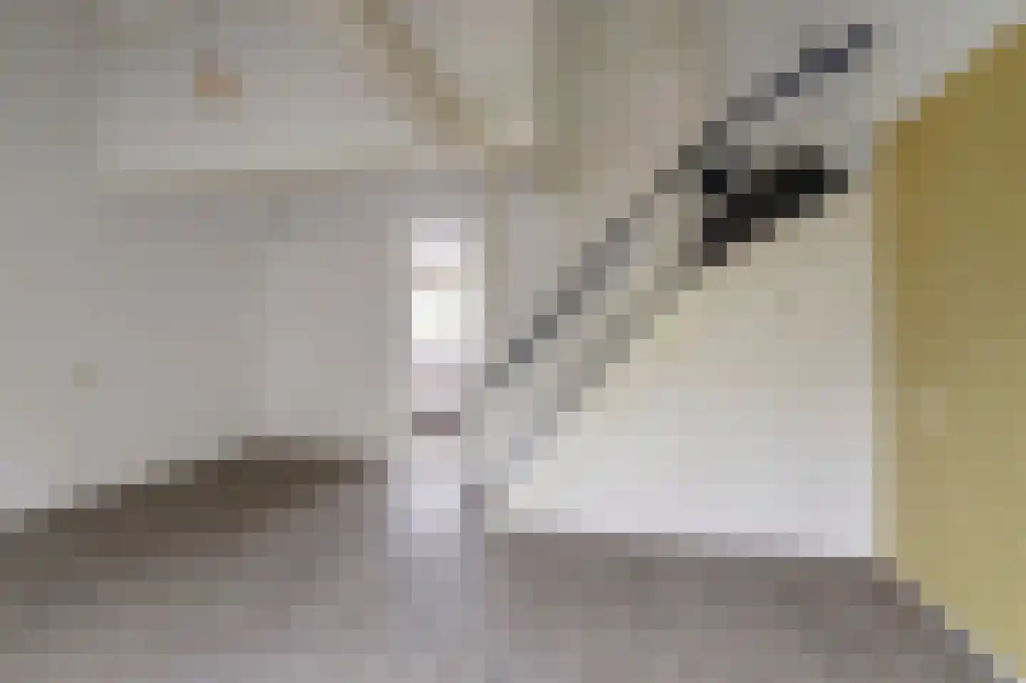 Kervelhof 6 Houten thumbnail 9