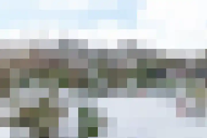 Kervelhof 8 Hulsberg thumbnail 25