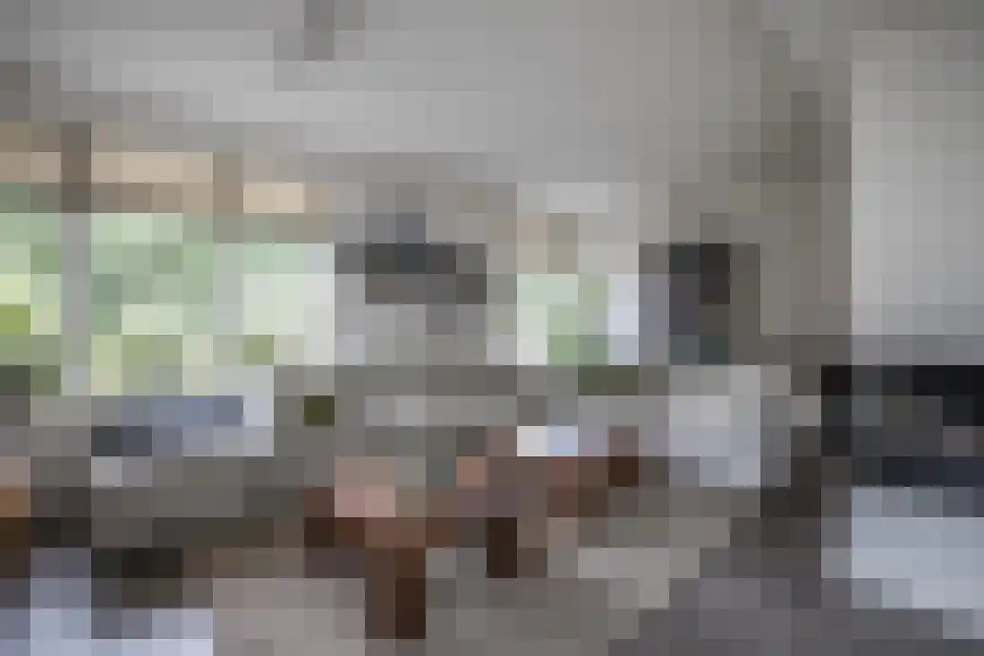 Kervellaan 10 Wierden thumbnail 11