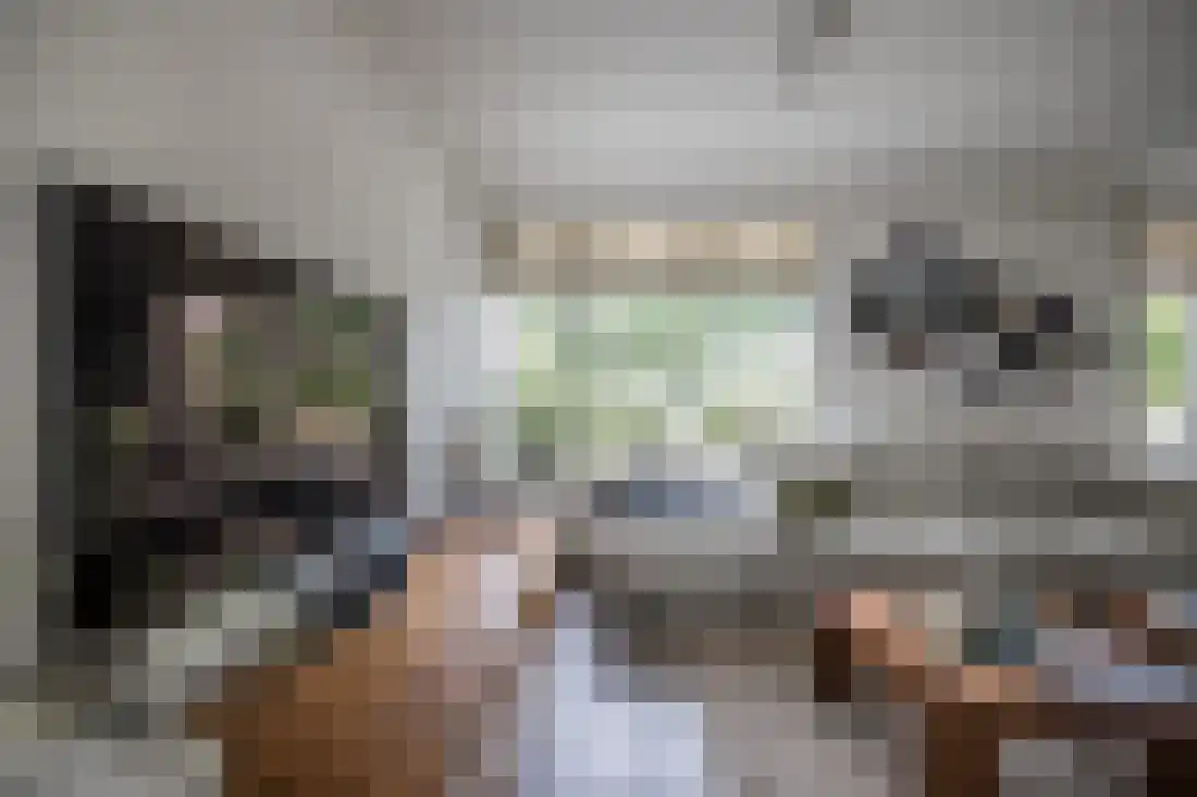 Kervellaan 10 Wierden thumbnail 12