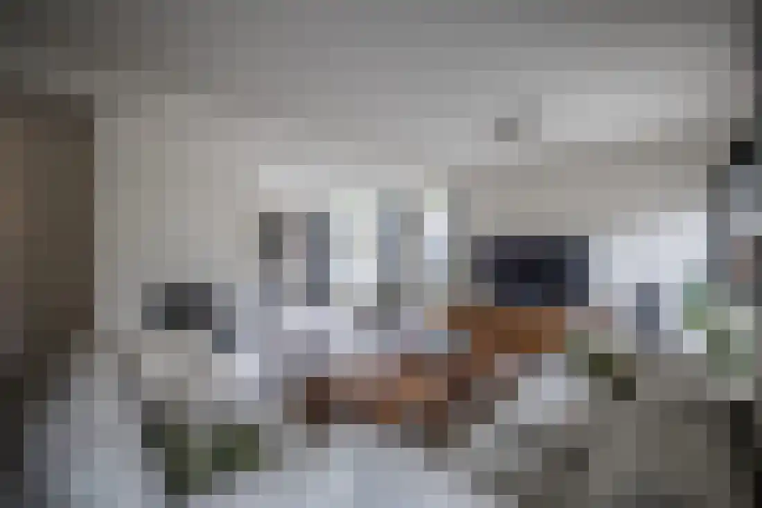 Kervellaan 10 Wierden thumbnail 13