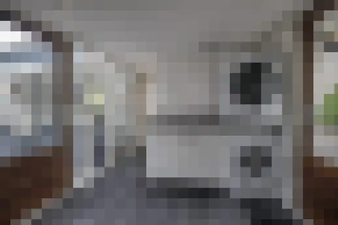 Kervellaan 10 Wierden thumbnail 21
