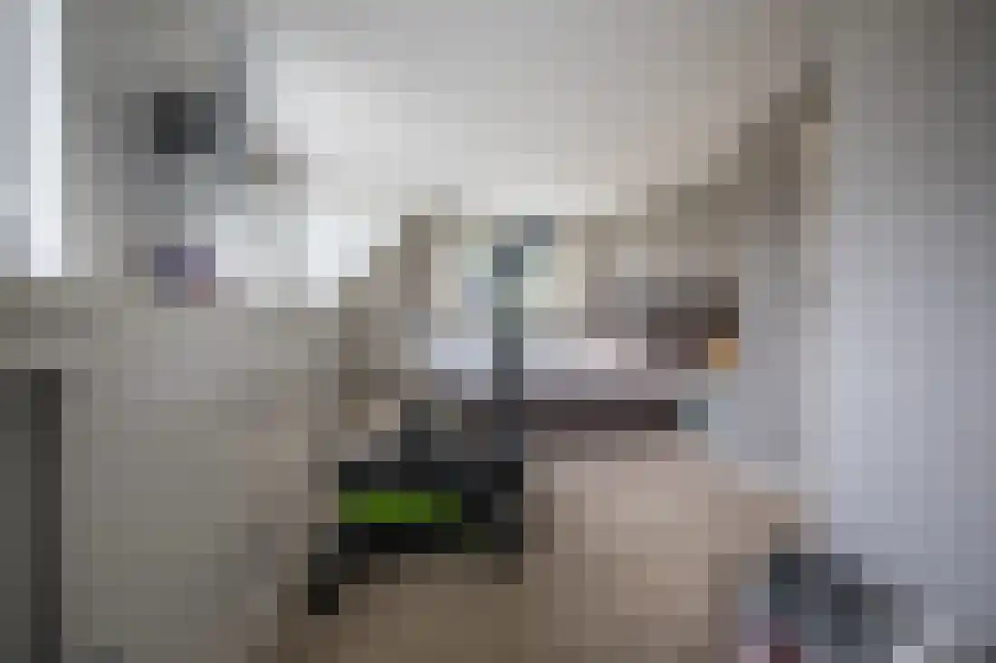 Kervellaan 10 Wierden thumbnail 26