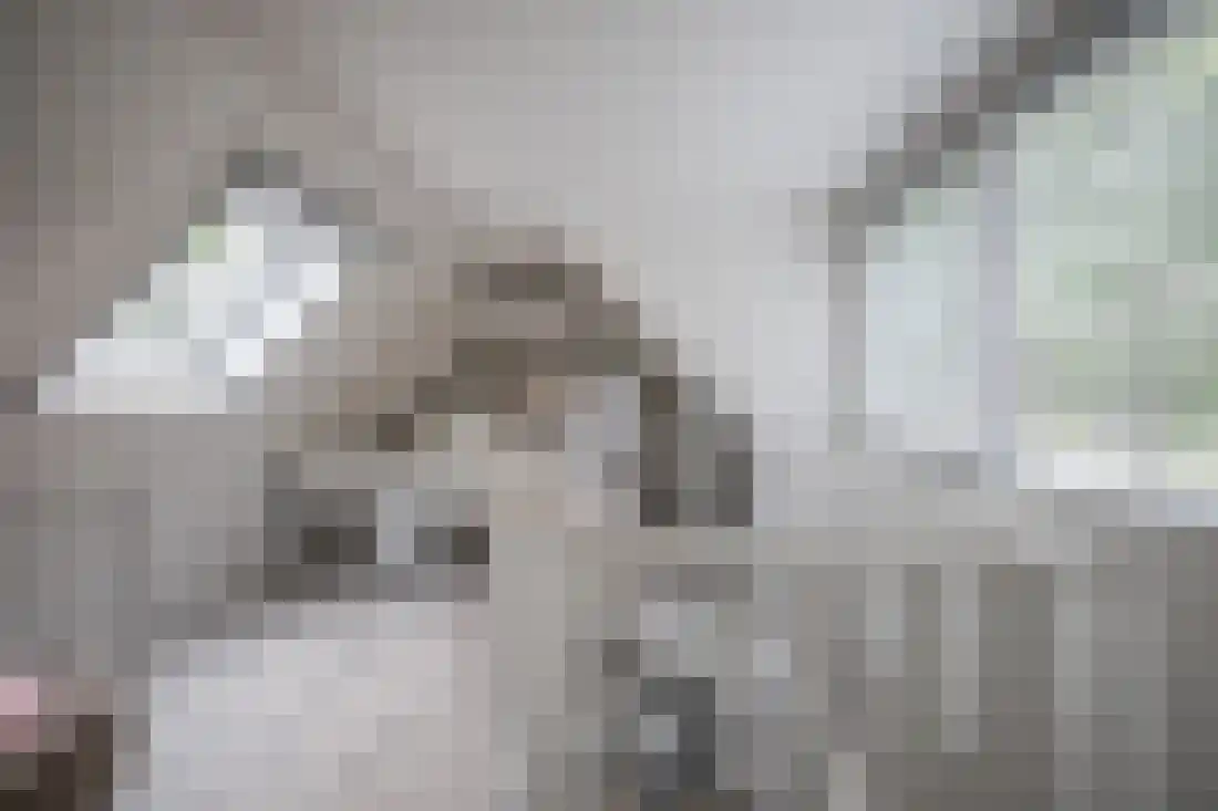Kervellaan 10 Wierden thumbnail 34