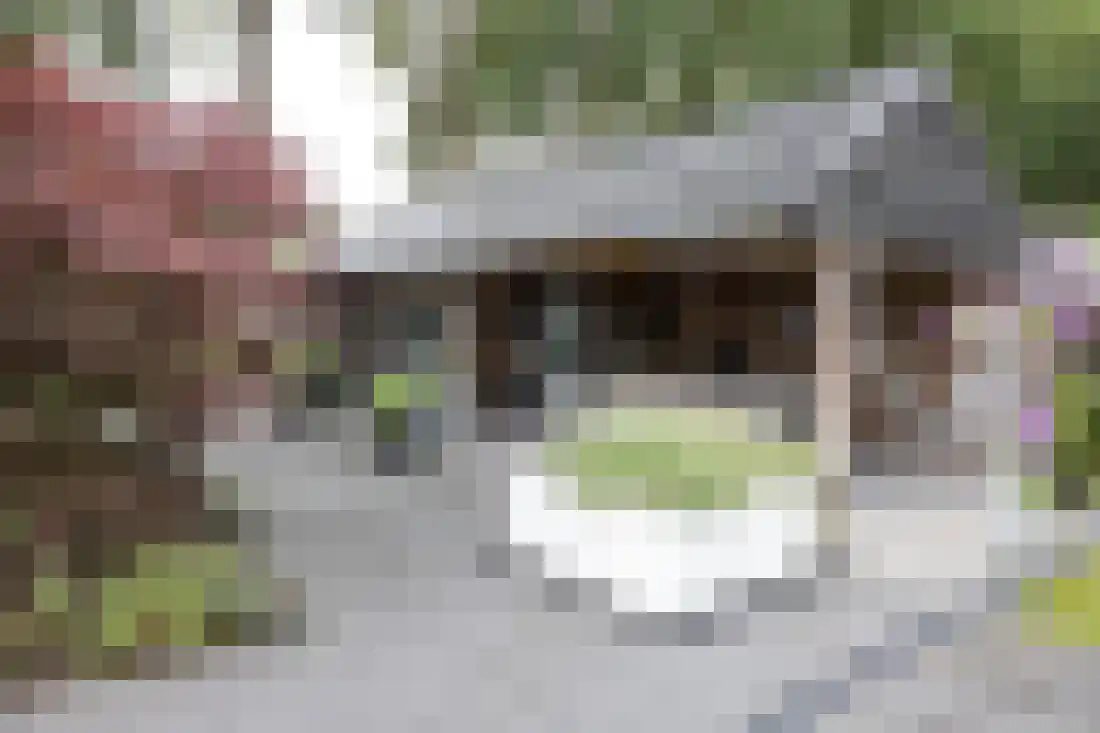 Kervellaan 10 Wierden thumbnail 4