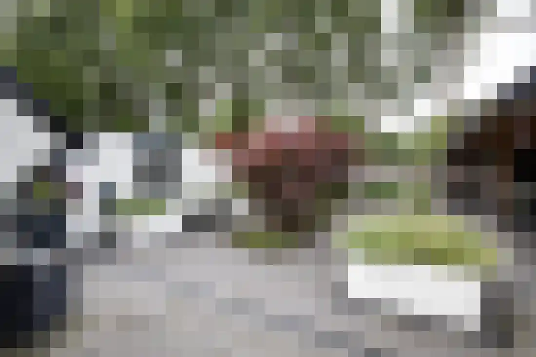 Kervellaan 10 Wierden thumbnail 41