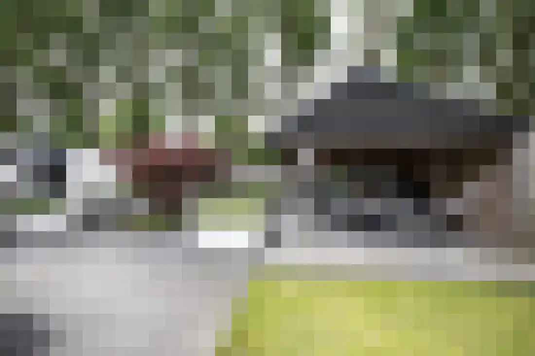 Kervellaan 10 Wierden thumbnail 42