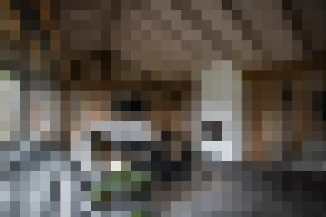 Kervellaan 10 Wierden thumbnail 46