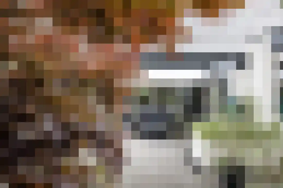 Kervellaan 10 Wierden thumbnail 50
