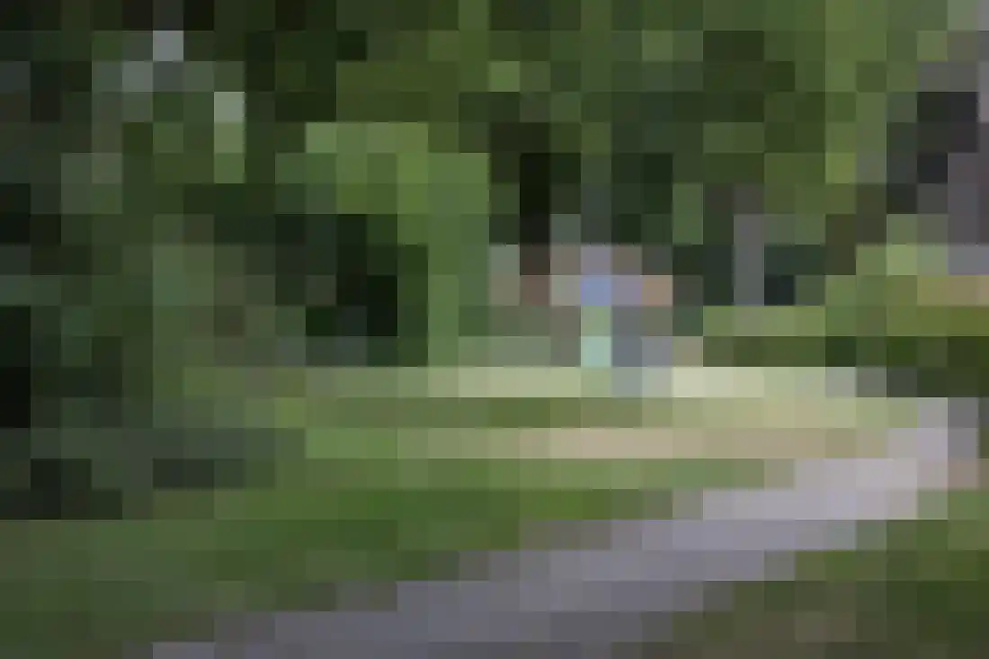 Kervellaan 10 Wierden thumbnail 53