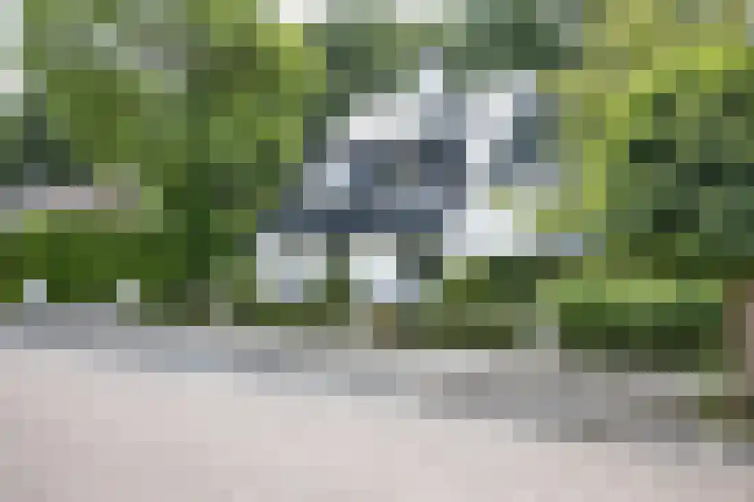 Kervellaan 10 Wierden thumbnail 6