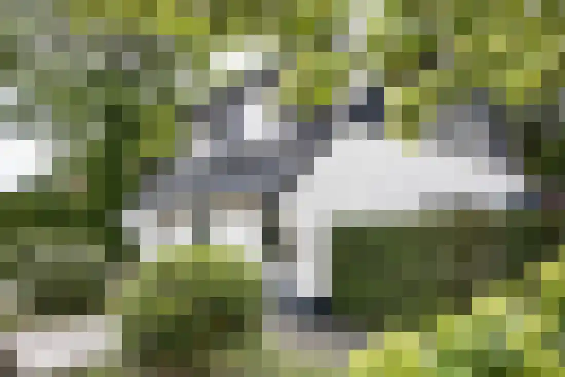 Kervellaan 10 Wierden thumbnail 7