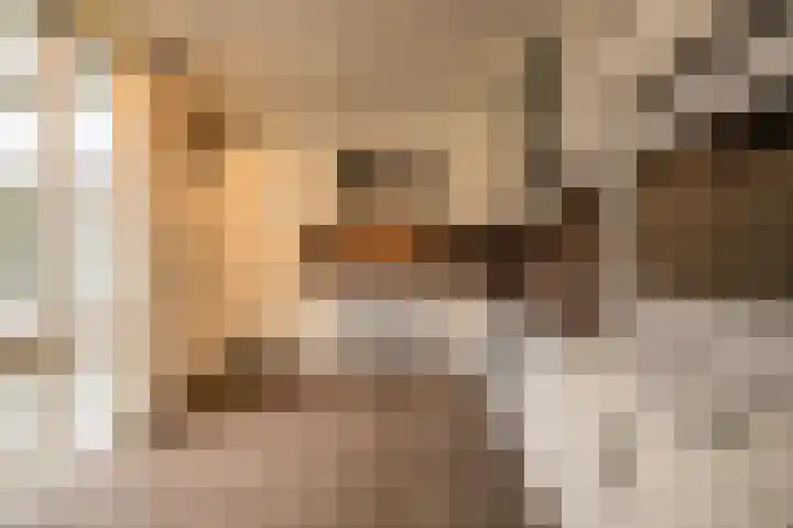 Kervellaan 21 Wierden thumbnail 16