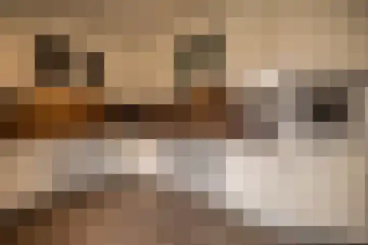 Kervellaan 21 Wierden thumbnail 17