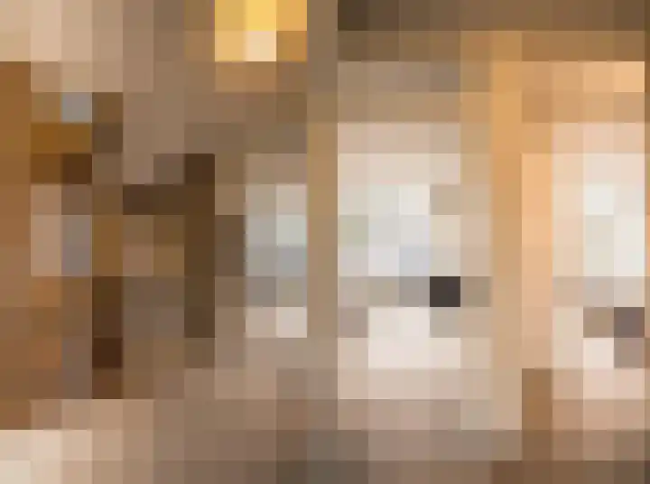 Kervellaan 21 Wierden thumbnail 22