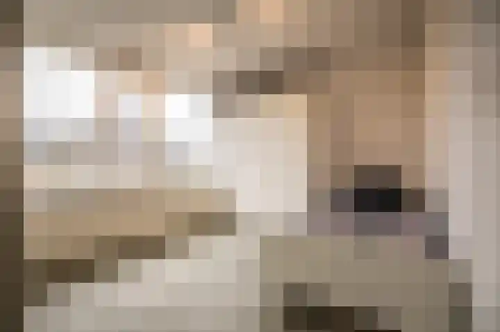 Kervellaan 21 Wierden thumbnail 31