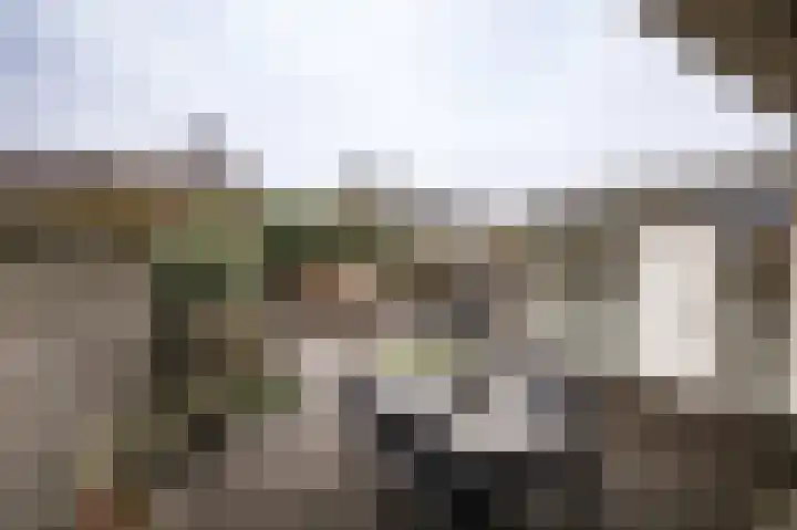 Kervellaan 21 Wierden thumbnail 42