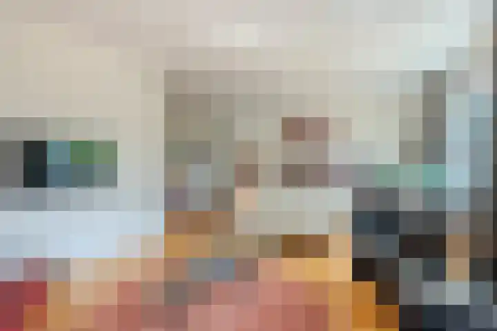 Kervellaar 9 Veghel thumbnail 11