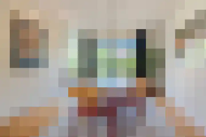 Kervellaar 9 Veghel thumbnail 13