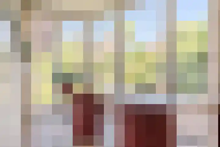Kervellaar 9 Veghel thumbnail 16