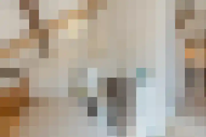 Kervellaar 9 Veghel thumbnail 25