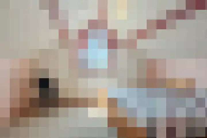 Kervellaar 9 Veghel thumbnail 30