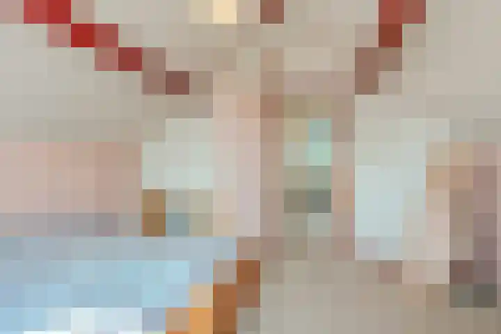 Kervellaar 9 Veghel thumbnail 31