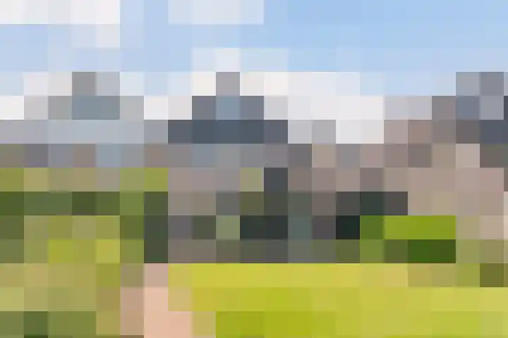 Kervellaar 9 Veghel thumbnail 34