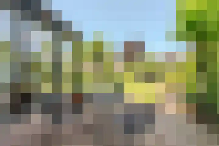 Kervellaar 9 Veghel thumbnail 35