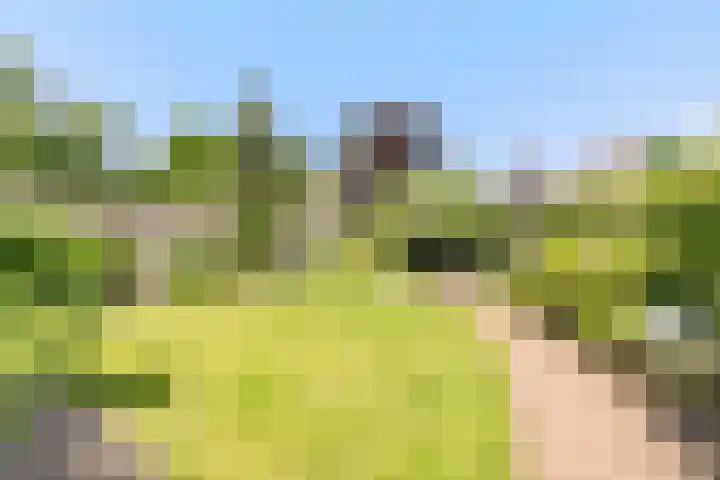 Kervellaar 9 Veghel thumbnail 36