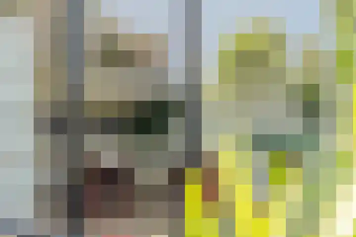 Kervellaar 9 Veghel thumbnail 37