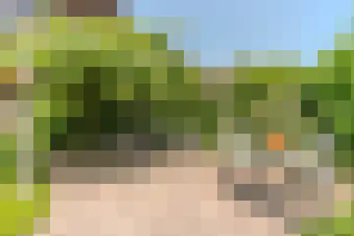 Kervellaar 9 Veghel thumbnail 38