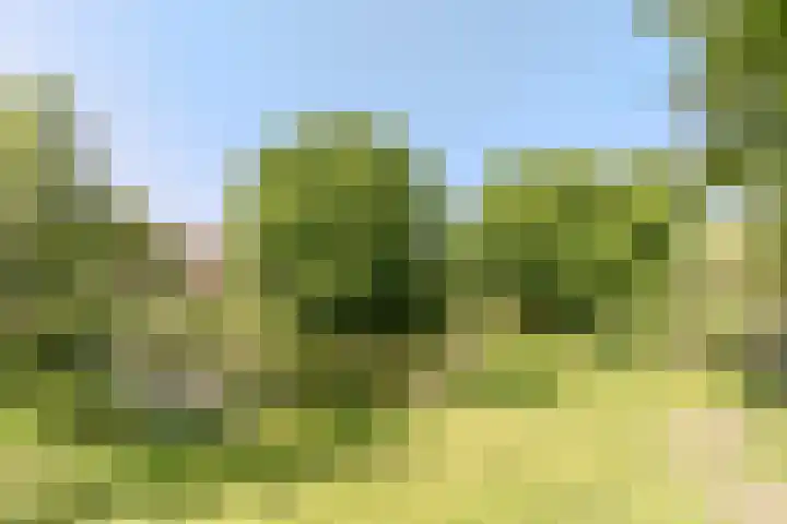 Kervellaar 9 Veghel thumbnail 39