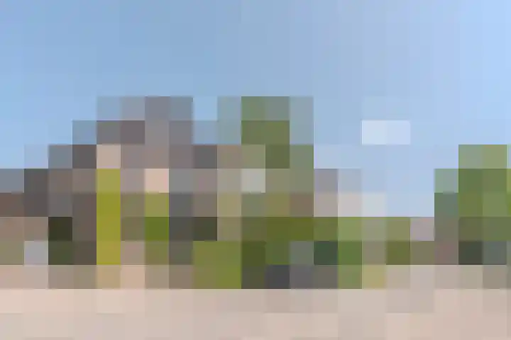 Kervellaar 9 Veghel thumbnail 6