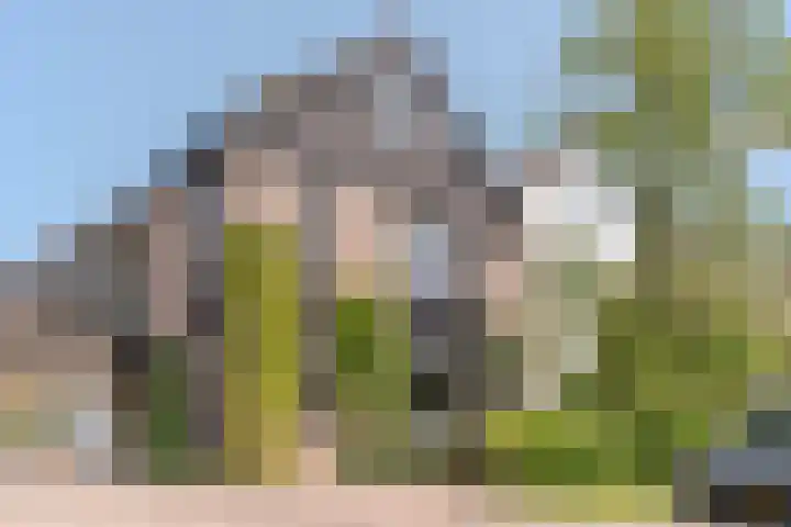 Kervellaar 9 Veghel thumbnail 7