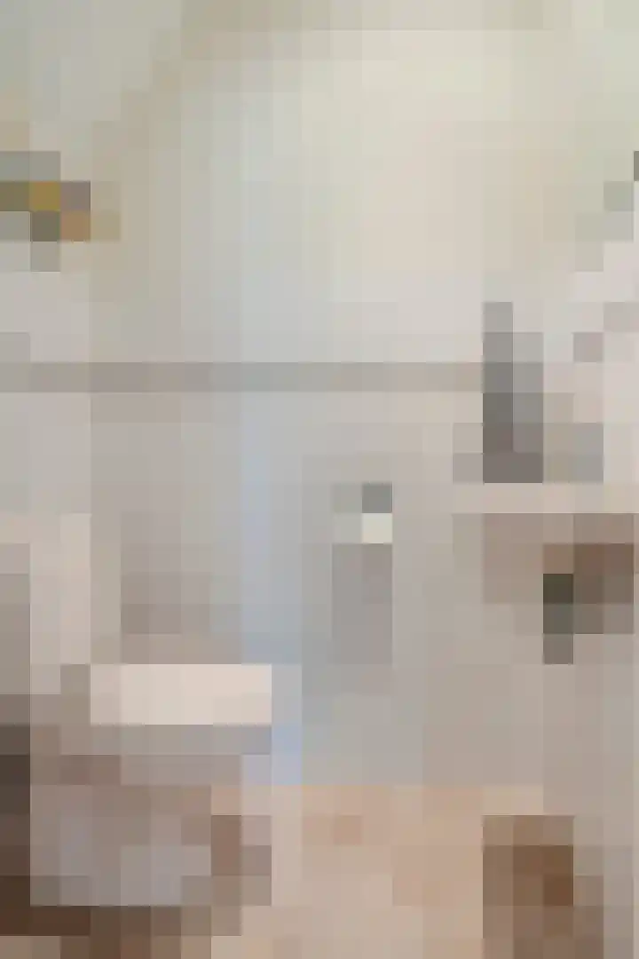 Kervellaar 9 Veghel thumbnail 9