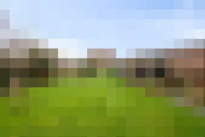 Kervelseweg 6 Hengelo (Gld) thumbnail 37