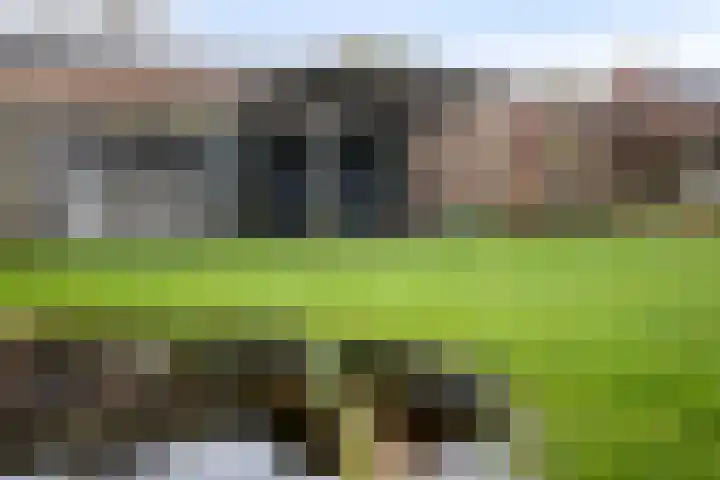 Kervelseweg 6 Hengelo (Gld) thumbnail 39
