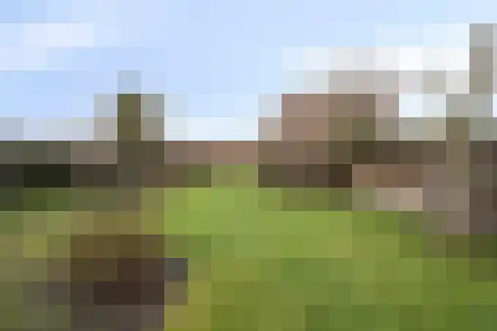 Kervelseweg 6 Hengelo (Gld) thumbnail 42