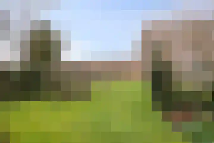 Kervelseweg 6 Hengelo (Gld) thumbnail 43