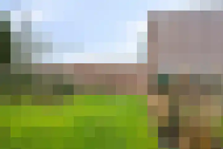 Kervelseweg 6 Hengelo (Gld) thumbnail 44