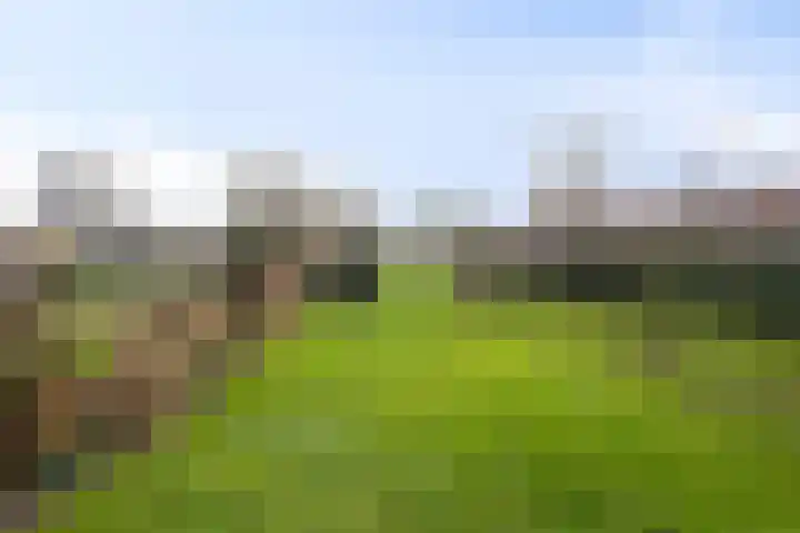 Kervelseweg 6 Hengelo (Gld) thumbnail 45