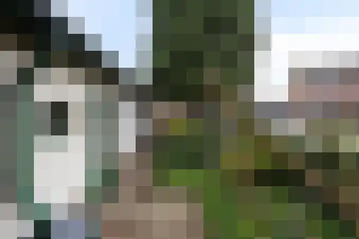 Kervelseweg 6 Hengelo (Gld) thumbnail 46