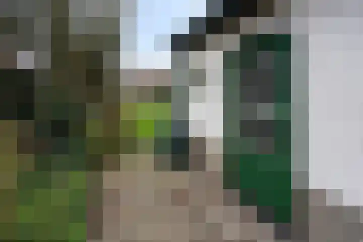 Kervelseweg 6 Hengelo (Gld) thumbnail 47