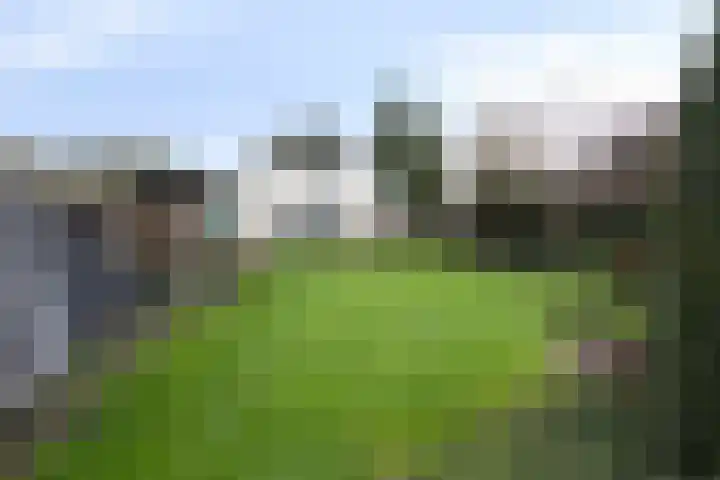 Kervelseweg 6 Hengelo (Gld) thumbnail 49