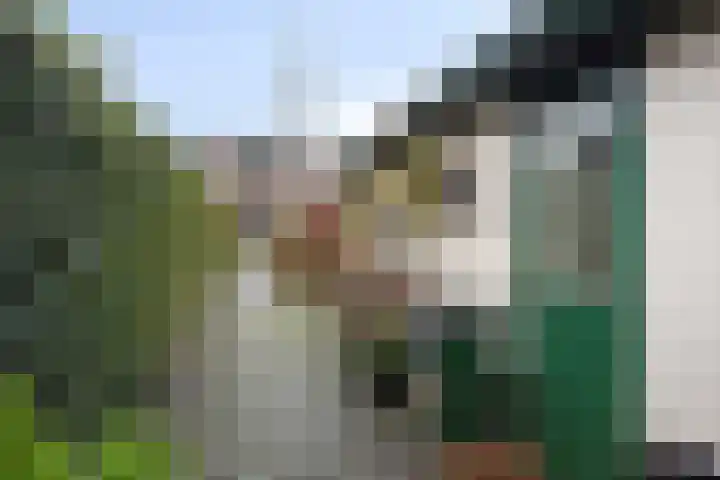 Kervelseweg 6 Hengelo (Gld) thumbnail 51