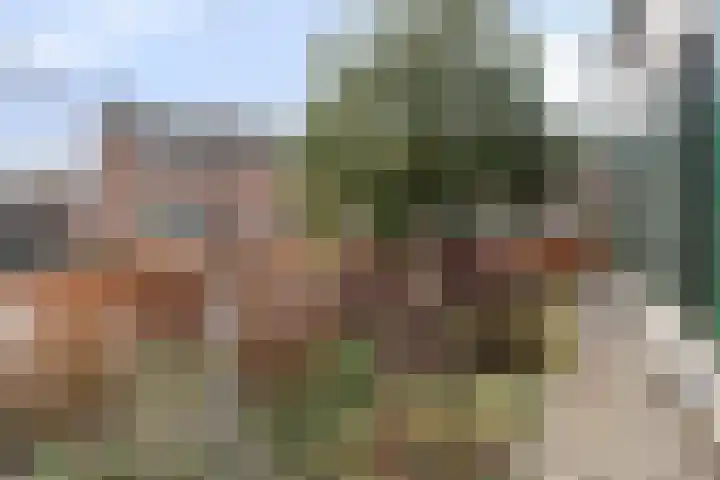 Kervelseweg 6 Hengelo (Gld) thumbnail 52