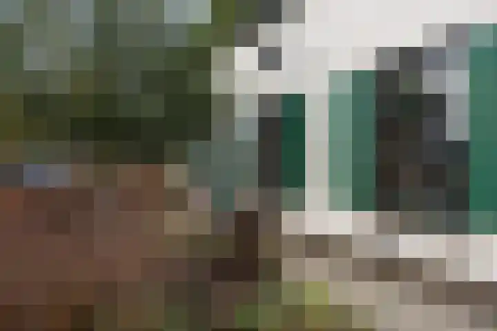 Kervelseweg 6 Hengelo (Gld) thumbnail 53