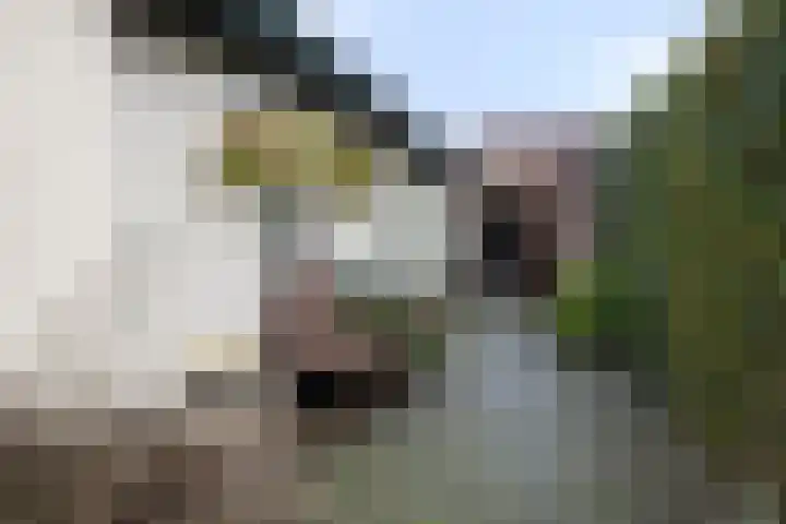 Kervelseweg 6 Hengelo (Gld) thumbnail 54